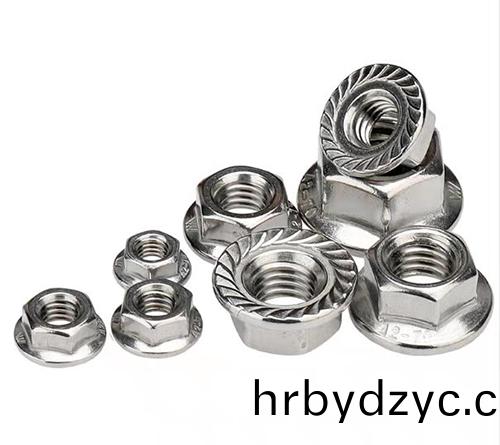 灋蘭螺(luo)母（帶齒(chi)）